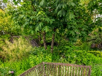 Isle of Skye, Dunvegan Castle & Gardens
